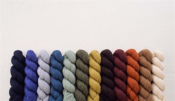 Bramble & Fleece Wooltrace DK